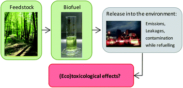 Graphical abstract: Toxicological and ecotoxicological potencies of biofuels used for the transport sector—a literature review