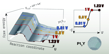 Graphical abstract: Understanding the electrocatalysis of oxygen reduction on platinum and its alloys