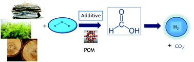 Graphical abstract: Selective oxidation of complex, water-insoluble biomass to formic acid using additives as reaction accelerators