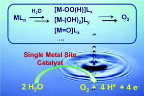 Graphical abstract: Catalytic water oxidation at single metal sites