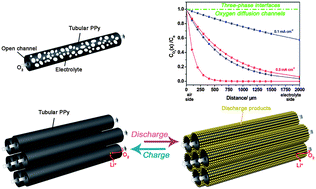 Graphical abstract: A tubular polypyrrole based air electrode with improved O2 diffusivity for Li–O2 batteries