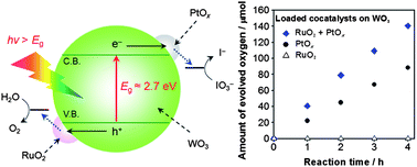 Graphical abstract: Visible-light-driven nonsacrificial water oxidation over tungsten trioxide powder modified with two different cocatalysts