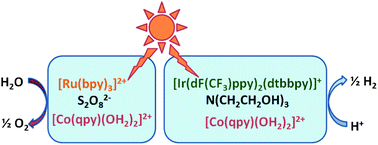 Graphical abstract: A cobalt(ii) quaterpyridine complex as a visible light-driven catalyst for both water oxidation and reduction