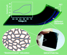 Graphical abstract: A “skeleton/skin” strategy for preparing ultrathin free-standing single-walled carbon nanotube/polyaniline films for high performance supercapacitor electrodes