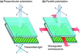 Graphical abstract: Light-recycling within electronic displays using deep red and near infrared photoluminescent polarizers