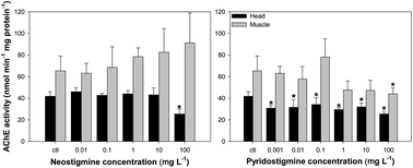 Graphical abstract: Effects of anticholinesterase drugs on biomarkers and behavior of pumpkinseed, Lepomis gibbosus (Linnaeus, 1758)