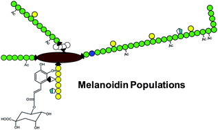 Graphical abstract: Coffee melanoidins: structures, mechanisms of formation and potential health impacts