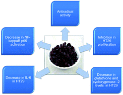 Graphical abstract: Chemopreventive properties of raisins originating from Greece in colon cancer cells