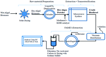 Graphical abstract: Power dissipation in microwave-enhanced in situ transesterification of algal biomass to biodiesel