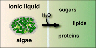 Graphical abstract: Energy-efficient extraction of fuel and chemical feedstocks from algae
