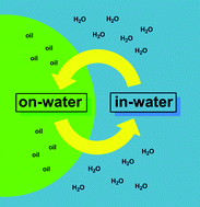 Graphical abstract: An in-water, on-water domino process for synthesis