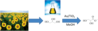 Graphical abstract: The oxidative esterification of glycerol to methyl glycerate in methanol using gold on oxidic supports: an insight in product selectivity