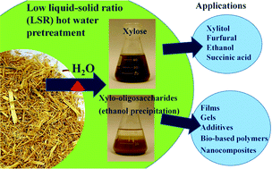 Graphical abstract: Low liquid–solid ratio (LSR) hot water pretreatment of sugarcane bagasse