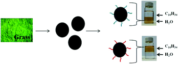Graphical abstract: Photoluminescent carbogenic nanoparticles directly derived from crude biomass