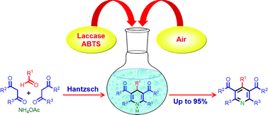 Graphical abstract: Laccase-catalyzed oxidation of Hantzsch 1,4-dihydropyridines to pyridines and a new one pot synthesis of pyridines