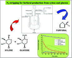 Graphical abstract: Furfural production from xylose + glucose feedings and simultaneous N2-stripping