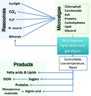 Graphical abstract: Microalgae biorefinery concept based on hydrothermal microwave pyrolysis