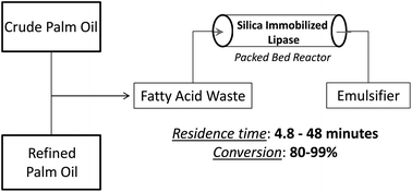Graphical abstract: Continuous flow valorization of fatty acid waste using silica-immobilized lipases