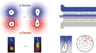 Graphical abstract: Quantitative and dynamic assay of single cell chemotaxis