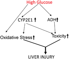 Graphical abstract: Increased oxidative stress and toxicity in ADH and CYP2E1 overexpressing human hepatoma VL-17A cells exposed to high glucose