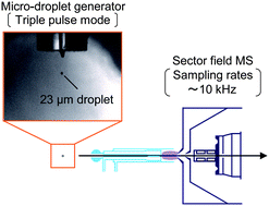 Graphical abstract: Application of a micro-droplet generator for an ICP-sector field mass spectrometer – optimization and analytical characterization
