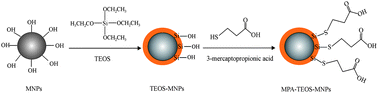 Graphical abstract: Atomic absorption spectrometric determination of Al3+ and Cr3+ after preconcentration and separation on 3-mercaptopropionic acid modified silica coated-Fe3O4 nanoparticles