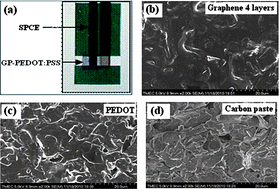 Graphical abstract: Inkjet-printed graphene-PEDOT:PSS modified screen printed carbon electrode for biochemical sensing