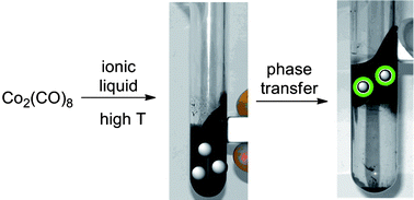 Graphical abstract: A facile procedure for magnetic fluids using room temperature ionic liquids