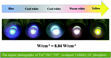 Graphical abstract: Controllable white upconversion luminescence in Ho3+/Tm3+/Yb3+ co-doped CaMoO4