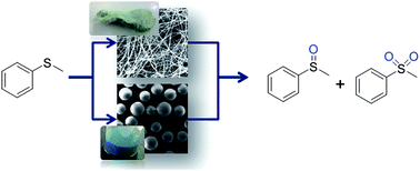 Graphical abstract: Imidazole-functionalized polymer microspheres and fibers – useful materials for immobilization of oxovanadium(iv) catalysts