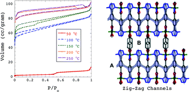 Graphical abstract: Kinetic hysteresis in gas adsorption behavior for a rigid MOF arising from zig-zag channel structures