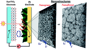 Graphical abstract: Morphological control of platinum nanostructures for highly efficient dye-sensitized solar cells