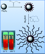 Graphical abstract: Oligo(ω-pentadecalactone) decorated magnetic nanoparticles