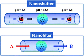 Graphical abstract: Free-standing polymer nanoactuators, nanoshutters, and nanofilters