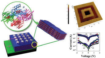 Graphical abstract: Layer-by-layer assembled enzyme multilayers with adjustable memory performance and low power consumption via molecular-level control