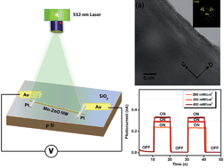 Graphical abstract: Efficient multispectral photodetection using Mn doped ZnO nanowires