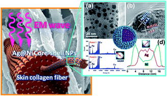 Graphical abstract: One-step seeding growth of controllable Ag@Ni core–shell nanoparticles on skin collagen fiber with introduction of plant tannin and their application in high-performance microwave absorption