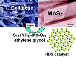 Graphical abstract: Biotemplated synthesis of highly divided MoS2 catalysts