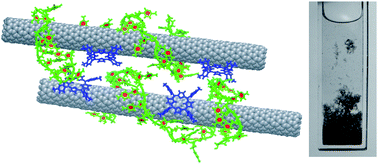 Graphical abstract: Unusual aggregation of poly(rC)-wrapped carbon nanotubes in aqueous suspension induced by cationic porphyrin