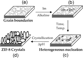 Graphical abstract: Growth of zeolitic imidazolate framework-8 crystals from the solid–liquid interface
