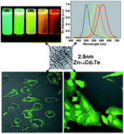Graphical abstract: Microwave-assisted synthesis of highly luminescent glutathione-capped Zn1−xCdxTe alloyed quantum dots with excellent biocompatibility