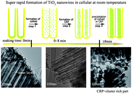 Graphical abstract: TiO2 cellular-protected nanowire array fabricated super-rapidly by the precipitation of colloids in the nanopores