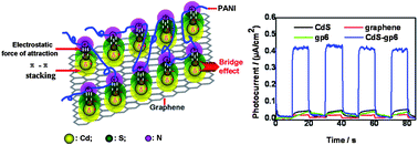 Graphical abstract: ‘Bridge’ effect of CdS nanoparticles in the interface of graphene–polyaniline composites