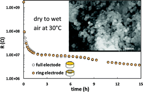 Graphical abstract: Surface proton conductivity of dense nanocrystalline YSZ