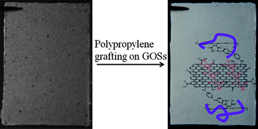 Graphical abstract: Polypropylene-grafted graphene oxide sheets as multifunctional compatibilizers for polyolefin-based polymer blends