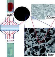 Graphical abstract: A hierarchical adsorption material by incorporating mesoporous carbon into macroporous chitosan membranes