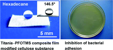 Graphical abstract: Cellulose-based material with amphiphobicity to inhibit bacterial adhesion by surface modification