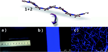 Graphical abstract: Supramolecular light-emitting polymers for solution-processed optoelectronic devices