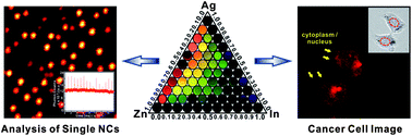 Graphical abstract: Rapid and facile synthesis of a (ZnxAgyInz)S2 nanocrystal library via sono-combichem method and its characterization including single nanocrystal analysis