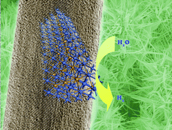 Graphical abstract: Mixed-solution synthesis of sea urchin-like NiSe nanofiber assemblies as economical Pt-free catalysts for electrochemical H2 production